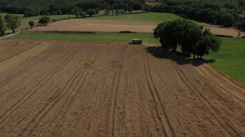 Harvester  in a wheat field 3 Video stock 144203590
