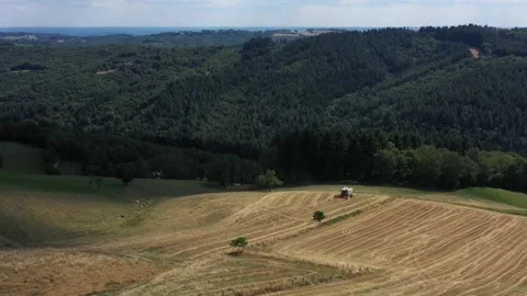 Harvester  in a wheat field 4 Video stock 144306840