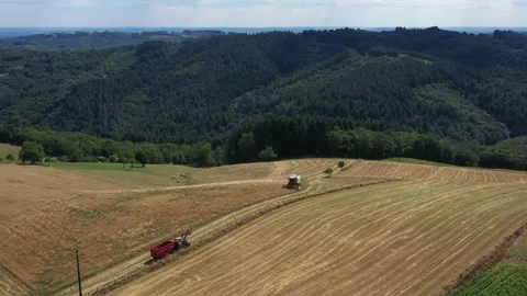 Harvester  in a wheat field 5 Video stock 144306943