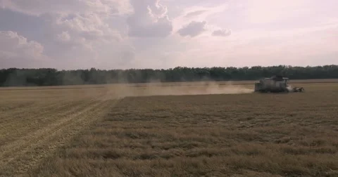 Harvester on the wheat field Stock Footage 65225355