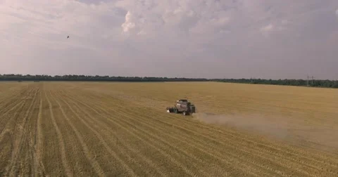 Harvester on the wheat field Stock Footage 65225488