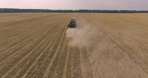 Harvester on the wheat field Stock Footage 65225528
