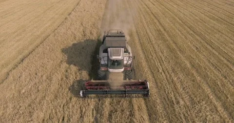 Harvester on the wheat field Stock Footage 65225580