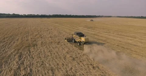 Harvester on the wheat field Stock Footage 65225643