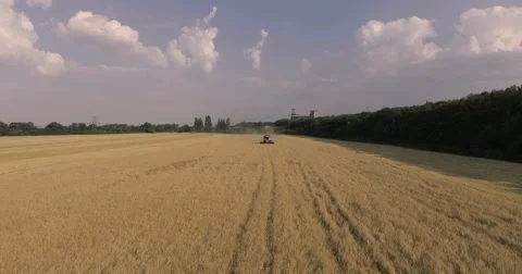 Harvester on the wheat field Stock Footage 65225709