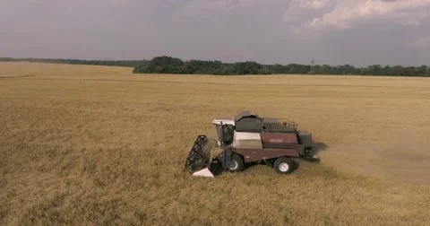 Harvester on the wheat field Stock Footage 65225782