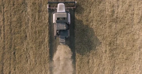 Harvester on the wheat field Stock Footage 65226009