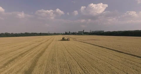 Harvester on the wheat field Stock Footage 65226122