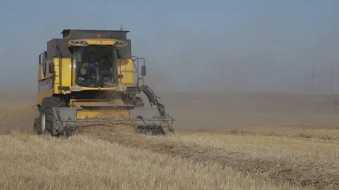 Harvester on the wheat field Stock Footage 130743170