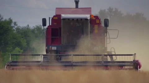 Harvester in the wheat field, front view 60fps Stock Footage 52912360