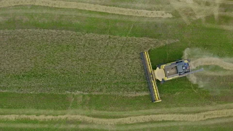 Harvester on the wheat field from the top view. Agriculture food production Stock Footage 159904598