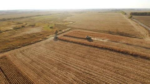 Harvester work on cornfield Stockbeeldmateriaal 44318099