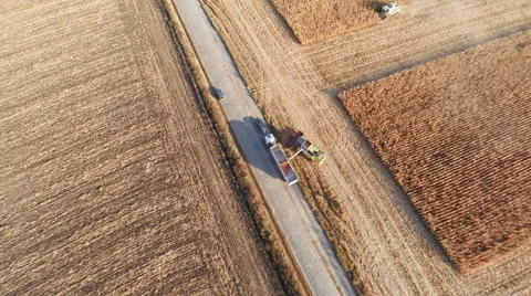 Harvester work on cornfield Stock-Footage 44322554