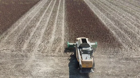 Harvester in work on field 1 Stock Footage 105604053