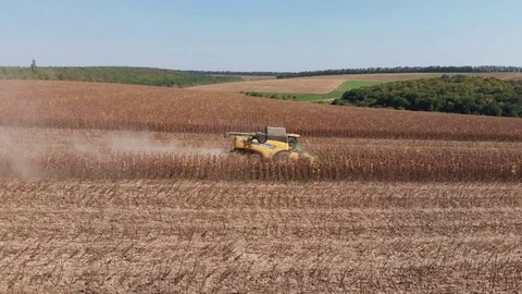 Harvester in work on field 2 Stock Footage 105604128