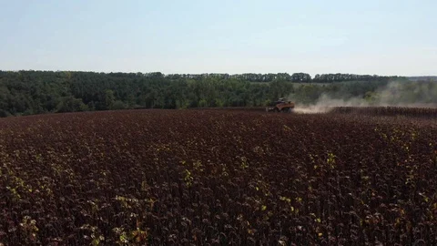 Harvester in work on field 3 Stock Footage 105604188