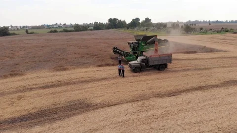 Harvester in work on field 4 Stock Footage 105604098