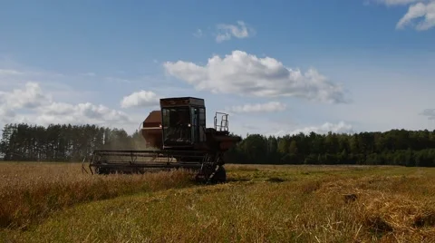 Harvester in work Stock Footage 54650862