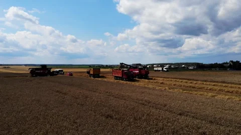Harvester working in the field 10 Видео 142324286