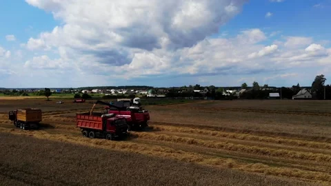 Harvester working in the field 11 Видео 142324315