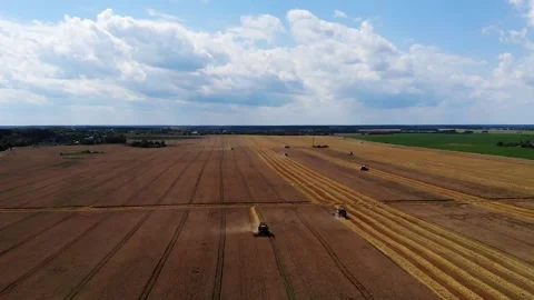 Harvester working in the field 12 Видео 142324339