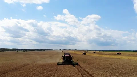 Harvester working in the field 14 Stock Footage 142324434