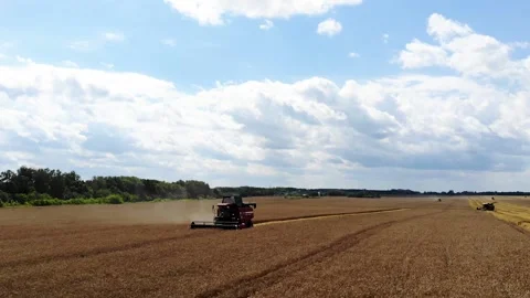 Harvester working in the field 15 Видео 142324475