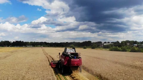 Harvester working in the field 16 Видео 142324538