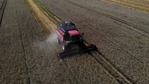 Harvester working in the field 17 Видео 142324564