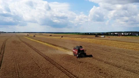 Harvester working in the field 18 Видео 142324598