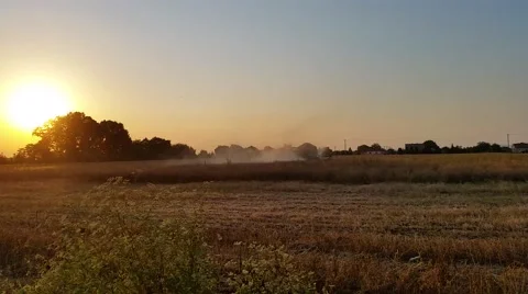 Harvester Working in Field 2 Stock-Footage 52124116