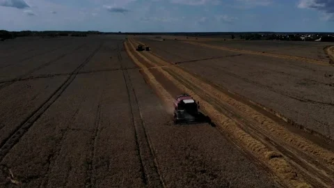 Harvester working in the field 2 Видео 142323848