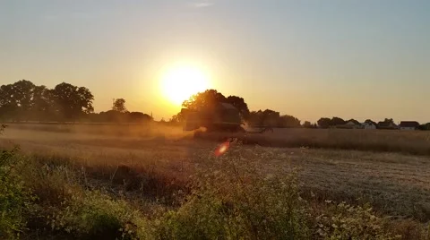 Harvester Working in Field 3 Stock-Footage 52123995