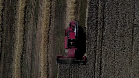 Harvester working in the field 4 Видео 142324003
