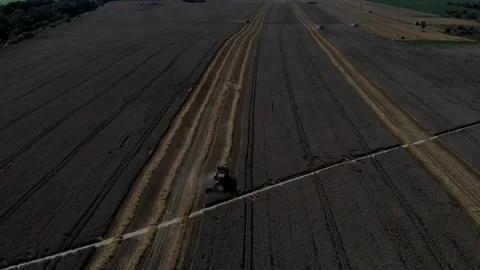 Harvester working in the field 5 Видео 142324061
