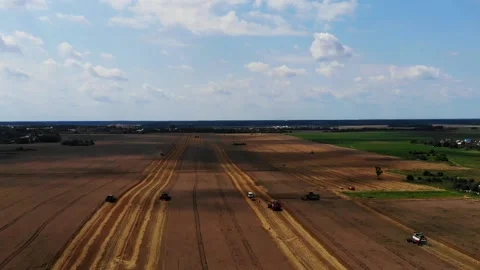 Harvester working in the field 8 Видео 142324189