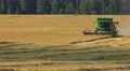 Harvester working in the field. 4k or 4k+ Resolution