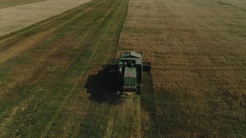 Harvester working in the field Stock Footage 94773132