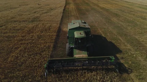 Harvester working in the field Stock Footage 94773176