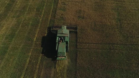 Harvester working in the field Stock Footage 94773206