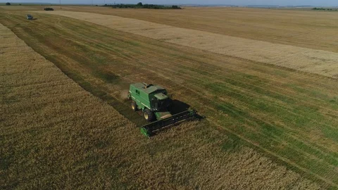 Harvester working in the field Stock Footage 94773208
