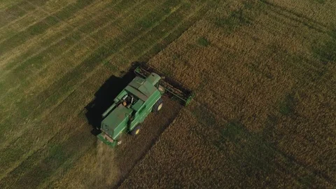 Harvester working in the field Stock Footage 94773218