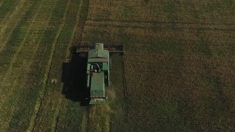 Harvester working in the field Stock Footage 94786736
