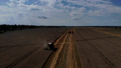 Harvester working in the field Видео 142323800