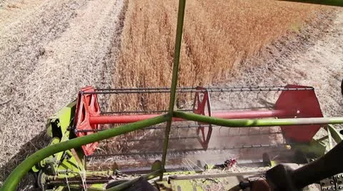Harvester working in a field of hay Stock-Footage 11643729