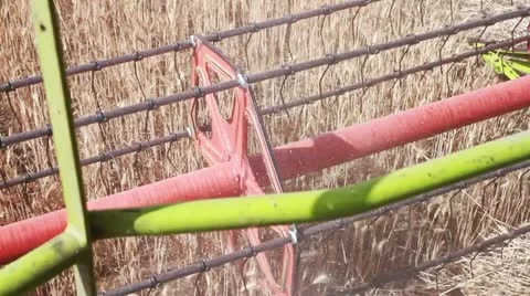 Harvester working in a field of hay Stock-Footage 11645934