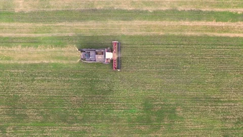 Harvester working in the field, mowing the grass Stock Footage 138325835