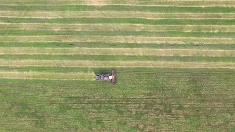 Harvester working in the field, mowing the grass Stock Footage 138596111