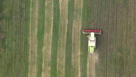 Harvester working in the field, mowing the grass Stock Footage 138596113