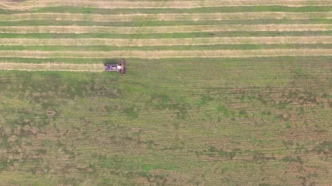 Harvester working in the field, mowing the grass Stock Footage 138596114
